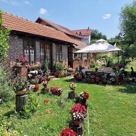 Old Court Case de vacanță
